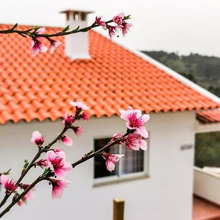 Villa O Refugio Coimbra Exterior foto