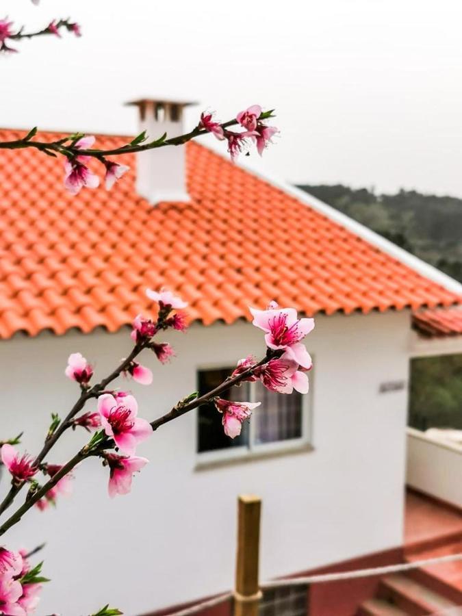 Villa O Refugio Coimbra Exterior foto